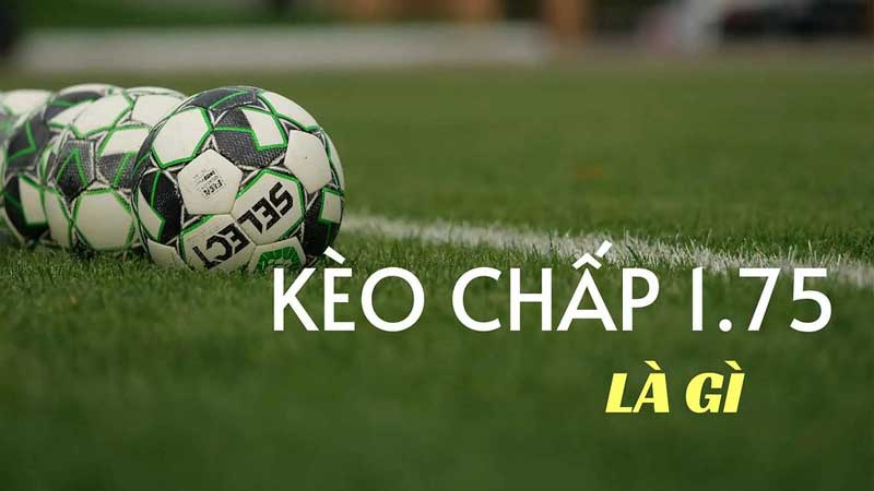 Kèo Chấp 1.75 Là Gì Giải Mã Bí Ẩn Cho Người Chơi Mới